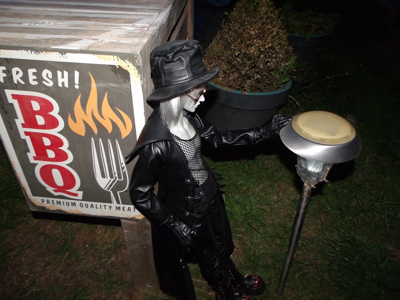 Dark garden.jpg